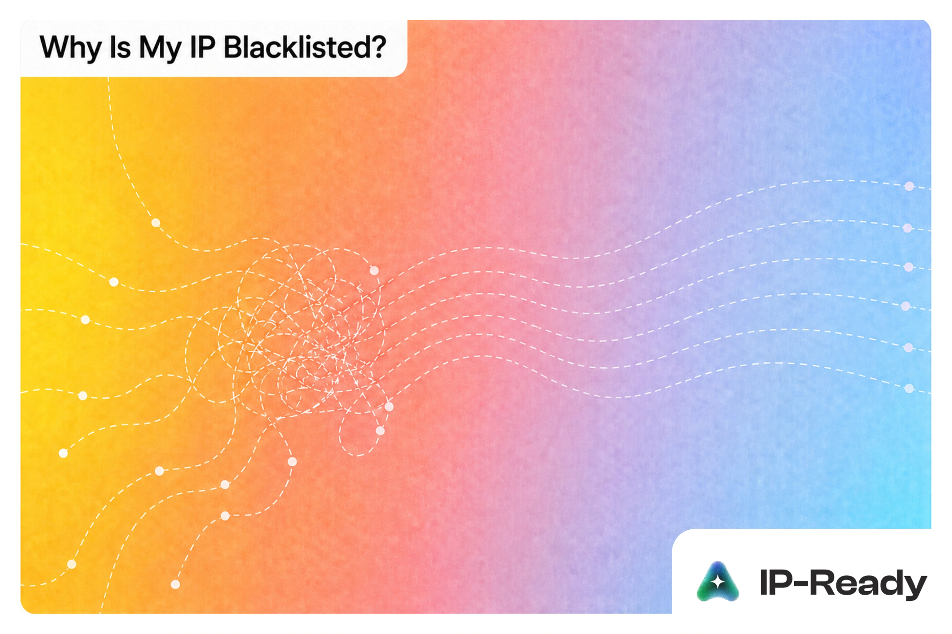 Why Is My IP Address Blacklisted? 7 Causes and What to Do Next